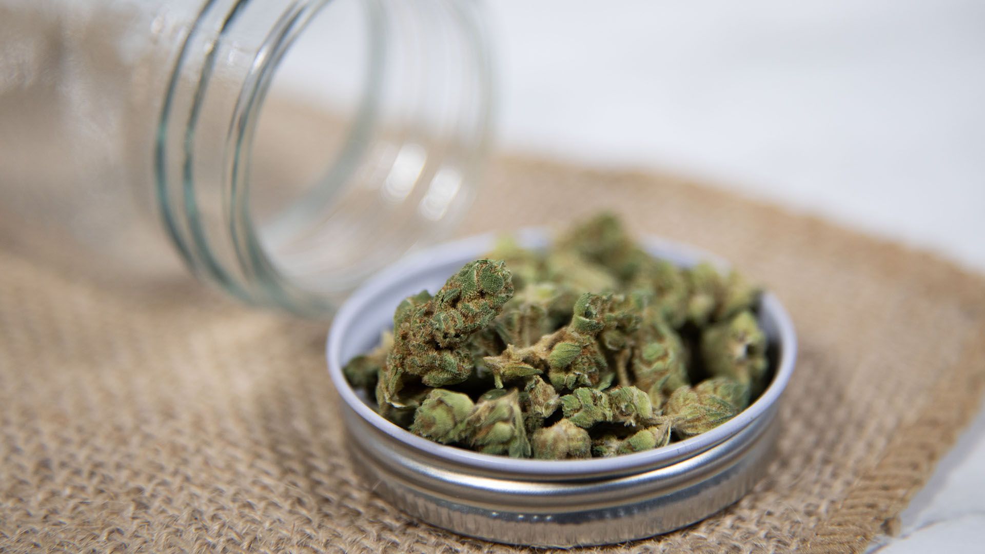 High Vibes, Healthy Minds: Inside the Cannabis Wellness Retreat Boom